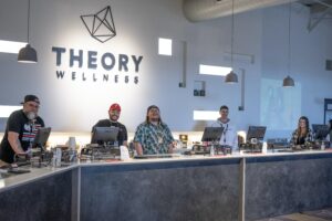 theory wellness
